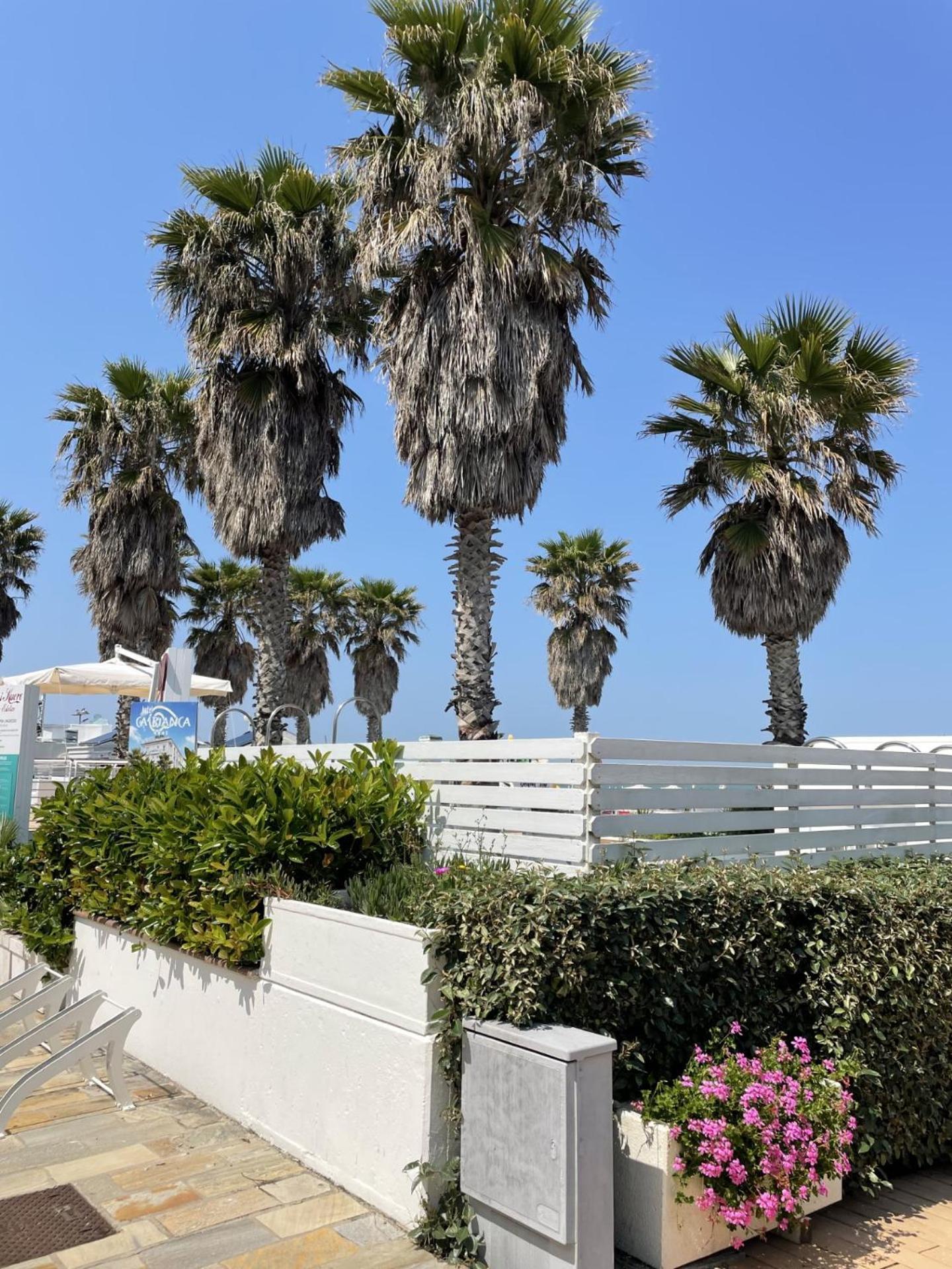 Hotel Napoleon Riccione Luaran gambar